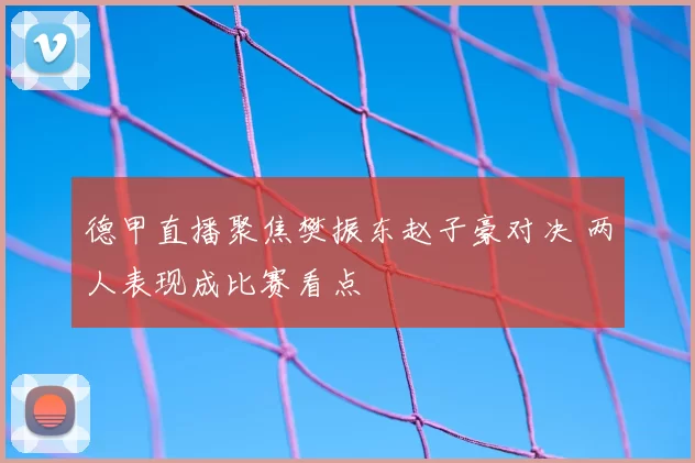德甲直播聚焦樊振东赵子豪对决 两人表现成比赛看点